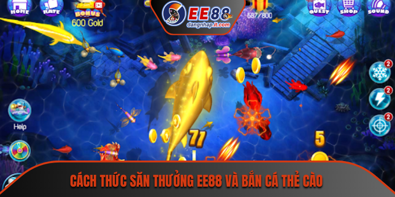 Cách thức săn thưởng EE88 và bắn cá thẻ cào
