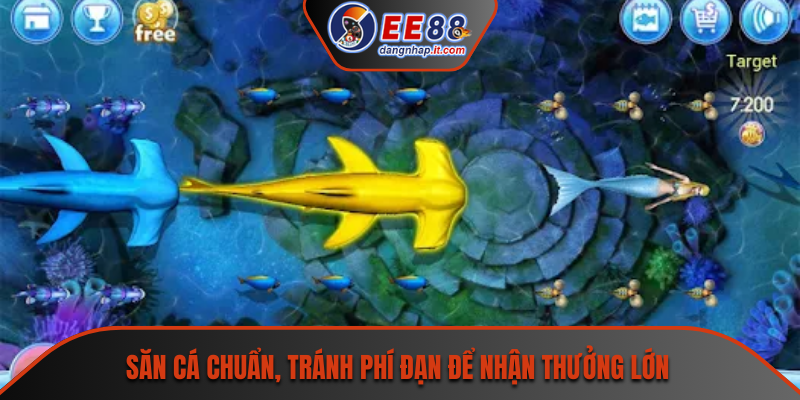 Săn cá chuẩn, tránh phí đạn để nhận thưởng lớn