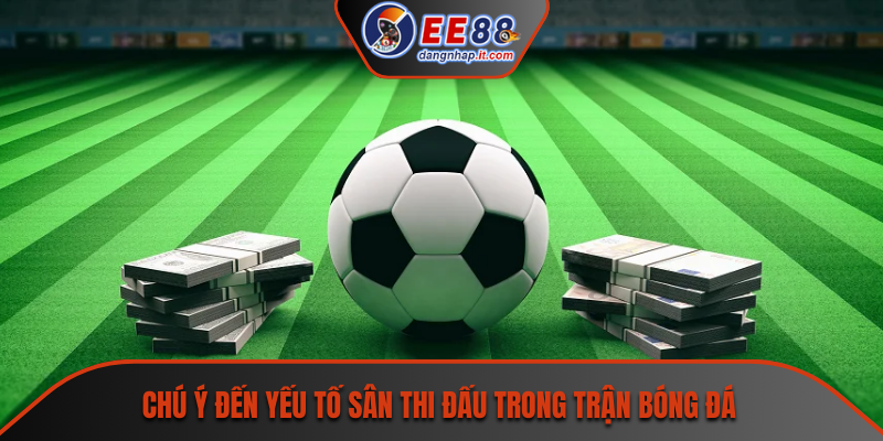 Chú ý đến yếu tố sân thi đấu trong trận bóng đá