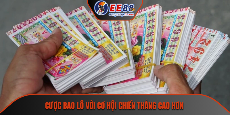 Cược bao lô với cơ hội chiến thắng cao hơn